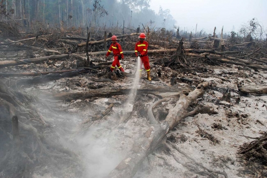 Begini kondisi parah Hutan Riau yang terbakar