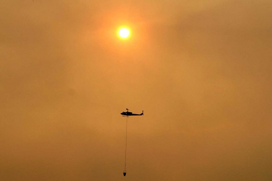 Begini kondisi parah Hutan Riau yang terbakar