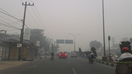 Beginilah kondisi parah kabut asap yang menyelimuti Riau