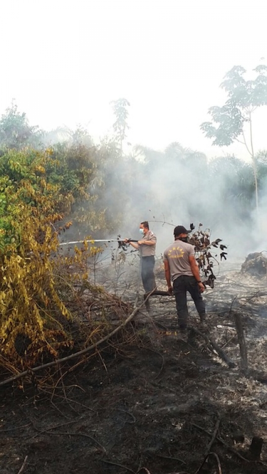 Melihat proses pemadaman kebakaran hutan di Pelalawan, Riau