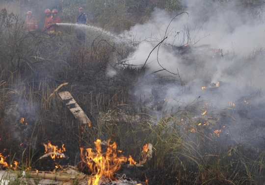 Warga dan petugas bahu-membahu padamkan kebakaran lahan di Tangsel