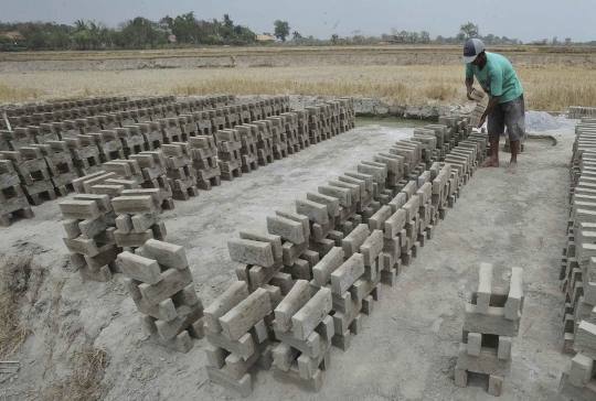 Kemarau panjang, petani Serang alih profesi jadi pembuat batu bata