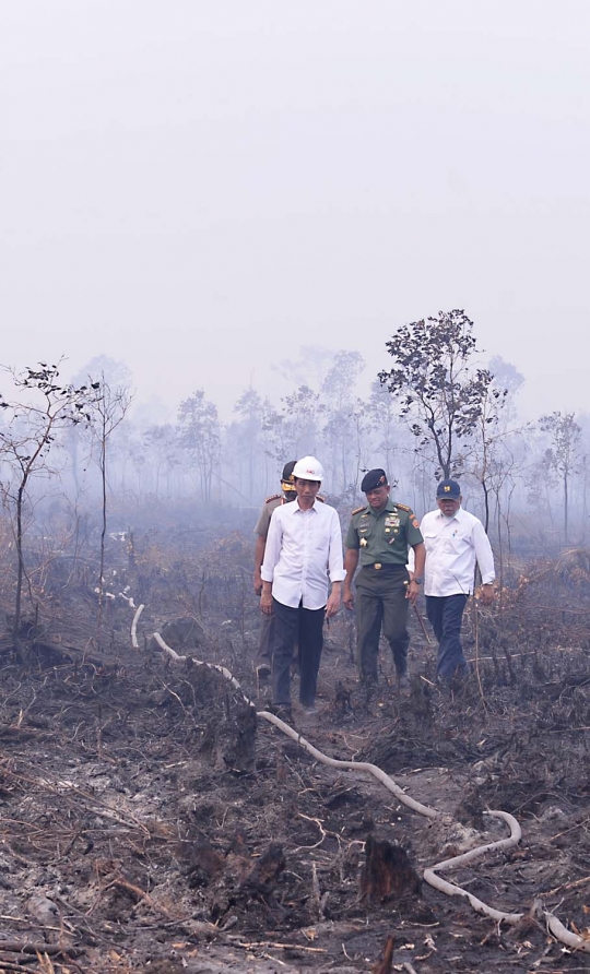 Aksi Jokowi terobos asap kebakaran hutan di Ogan Komering Ilir