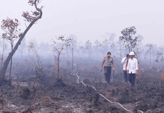 Aksi Jokowi terobos asap kebakaran hutan di Ogan Komering Ilir