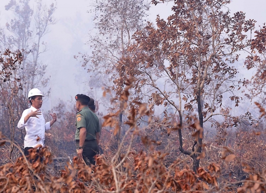 Aksi Jokowi terobos asap kebakaran hutan di Ogan Komering Ilir