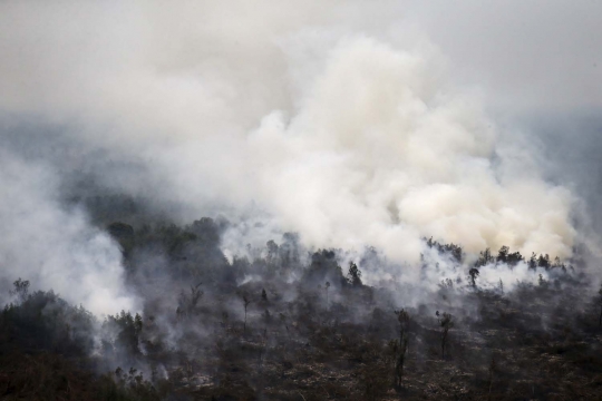 Menyaksikan bom air padamkan kebakaran hutan di Ogan Komering Ulu