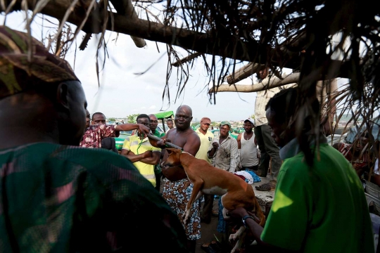 Sadisnya ritual Ogun di Nigeria