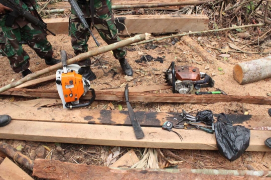 Aksi Marinir gagalkan illegal logging di Taman Nasional Sembilang
