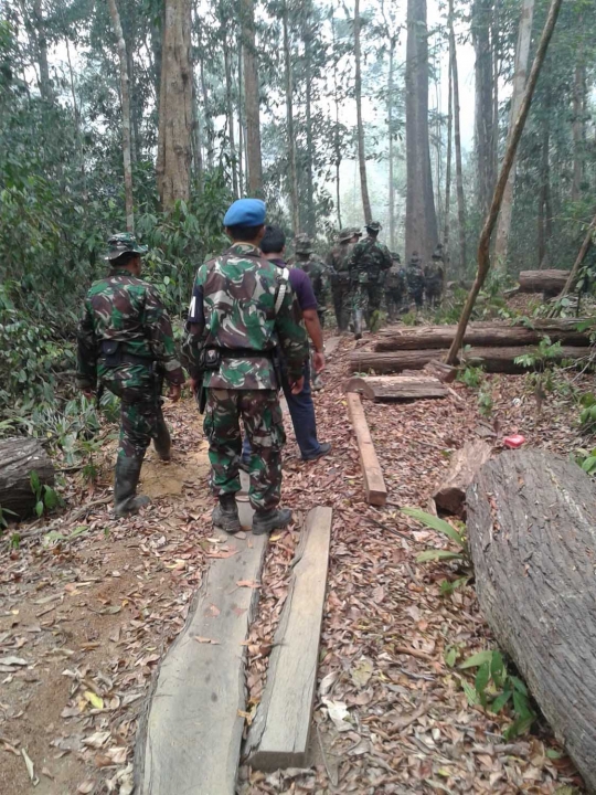 Aksi Marinir gagalkan illegal logging di Taman Nasional Sembilang