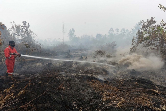 Ini lahan di Riau yang diduga sengaja dibakar