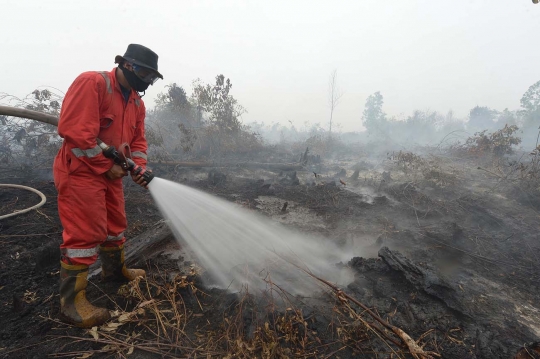 Ini lahan di Riau yang diduga sengaja dibakar