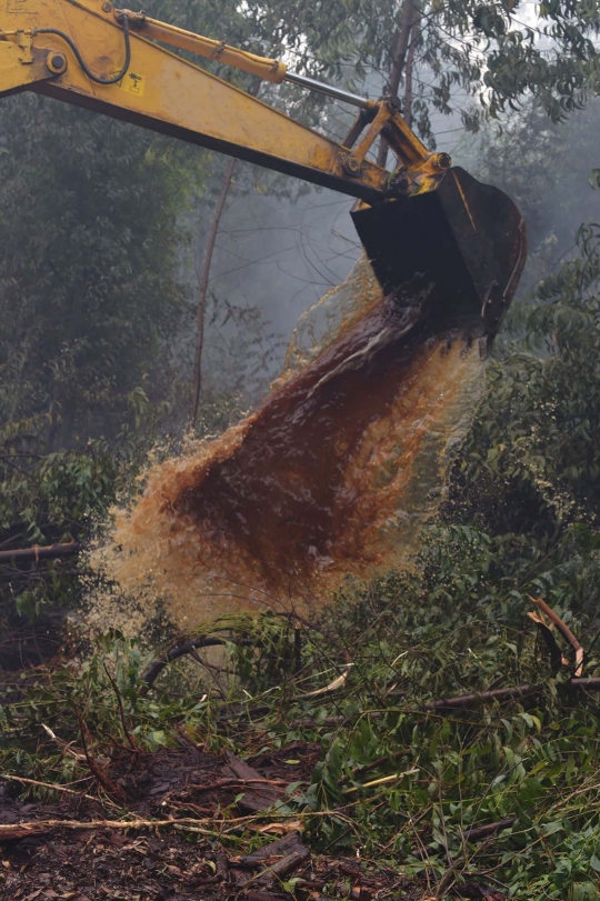 Kisah pekerja kebun kelapa sawit berjibaku padamkan kebakaran hutan