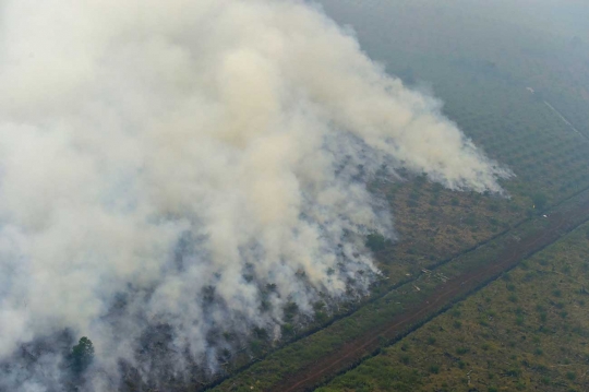 Ini foto mengerikan asap kebakaran hutan Riau dari udara