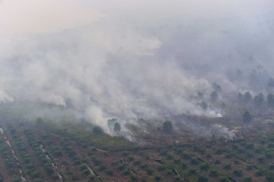 Ini foto mengerikan asap kebakaran hutan Riau dari udara