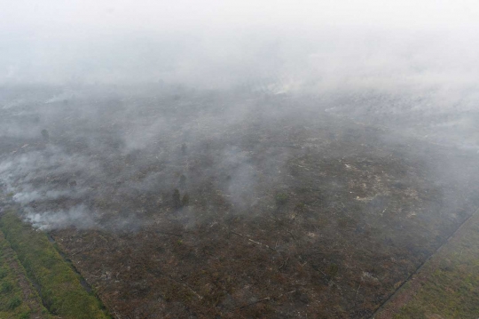 Ini foto mengerikan asap kebakaran hutan Riau dari udara