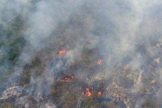 Ini foto mengerikan asap kebakaran hutan Riau dari udara