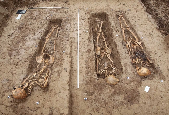 Arkeolog temukan kuburan massal tentara Napoleon ratusan tahun