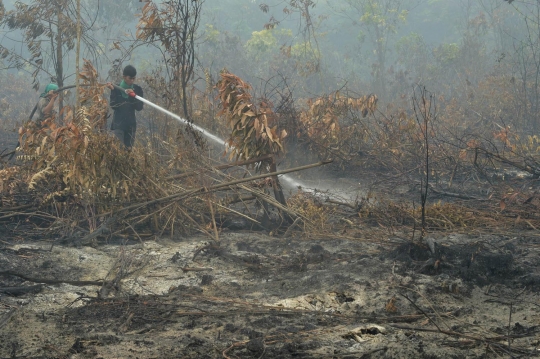 Meratapi sekolah di Riau jadi usang akibat kabut asap