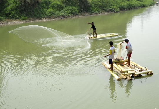 Berkah kemarau bagi pencari ikan di Sungai Cisadane