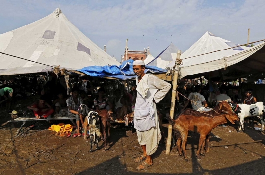 Menengok padatnya pasar hewan kurban di India