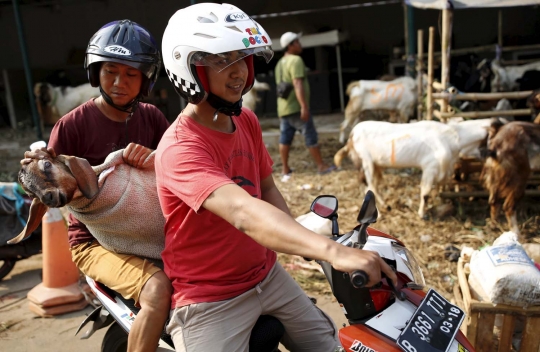 Kisah semangat bocah penjaga dagangan hewan kurban