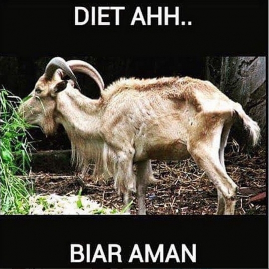 Bikin ngakak, ini deretan meme kambing kurban saat Idul Adha