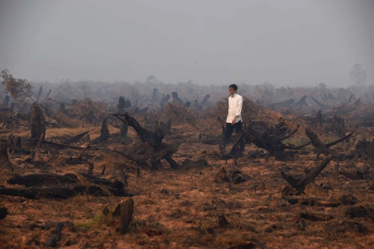 Aksi Jokowi tinjau langsung kebakaran hutan di Kalimantan