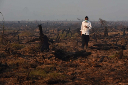 Aksi Jokowi tinjau langsung kebakaran hutan di Kalimantan