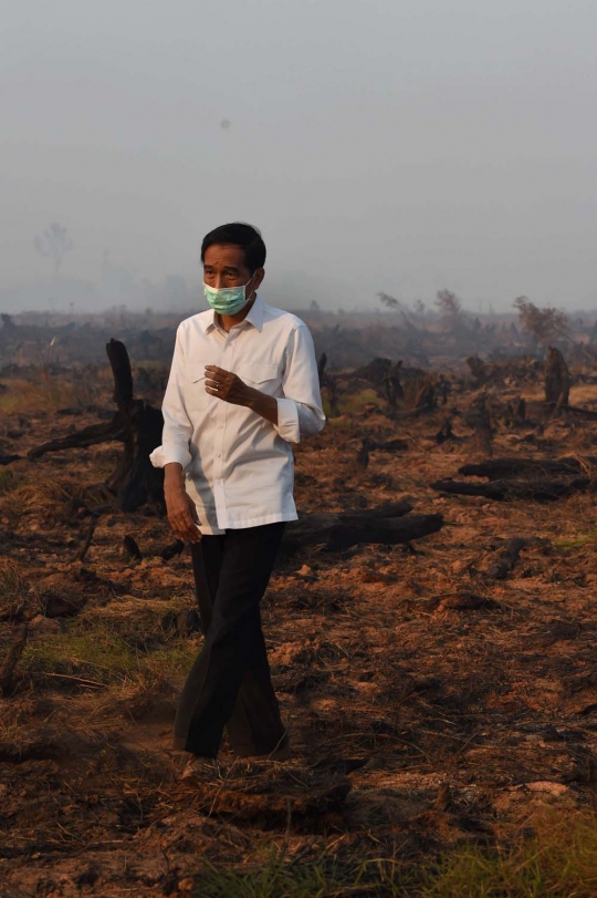 Aksi Jokowi tinjau langsung kebakaran hutan di Kalimantan