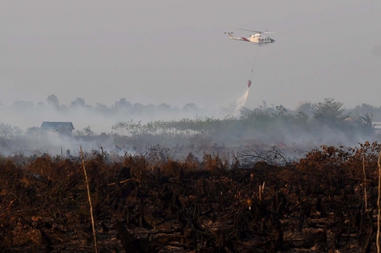 Aksi Jokowi tinjau langsung kebakaran hutan di Kalimantan