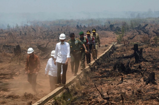 Aksi Jokowi tinjau langsung kebakaran hutan di Kalimantan