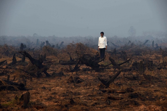 Aksi Jokowi tinjau langsung kebakaran hutan di Kalimantan