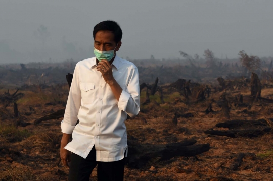 Aksi Jokowi tinjau langsung kebakaran hutan di Kalimantan