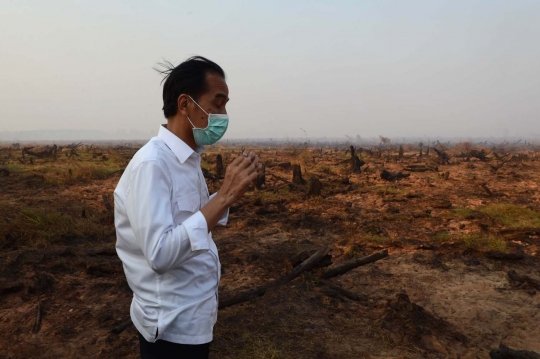 Aksi Jokowi tinjau langsung kebakaran hutan di Kalimantan