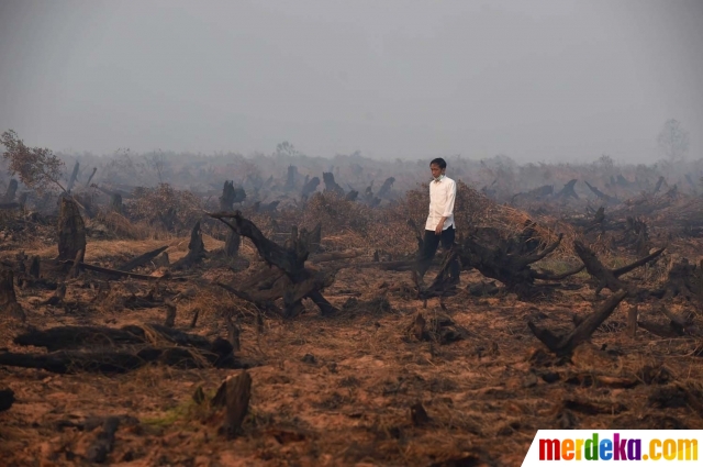 Foto Aksi Jokowi Tinjau Langsung Kebakaran Hutan Di