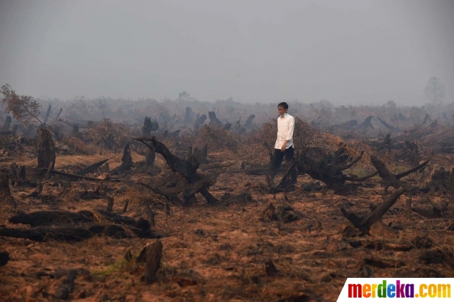 Artis Merayakan Idul Adha Idola W