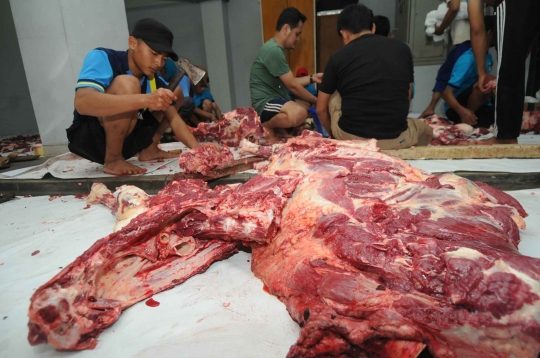 Antusiasme warga berebut daging kurban di DPP LDII