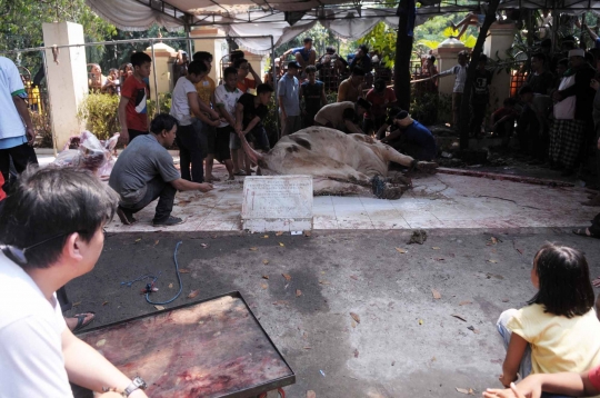 Melihat penyembelihan hewan kurban di Masjid Sunda Kelapa