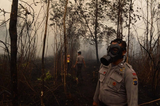 Aksi Jokowi terus pantau pemadaman lahan gambut di Kalimantan