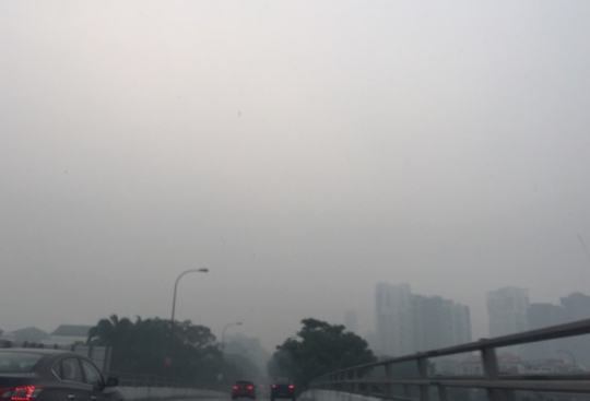 Tak peduli kabut asap, warga Singapura antusias antre iPhone 6s