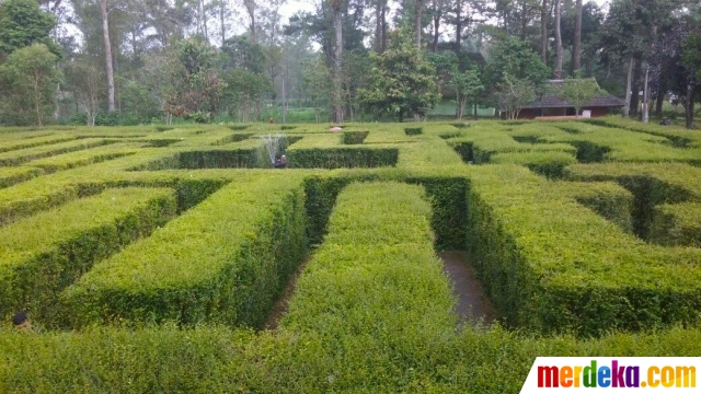 Foto Serunya Berpetualang Di Taman Labirin Coban Rondo