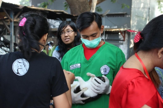 Malangnya nasib kucing-kucing liar di Pasar Tawang Mangu ini