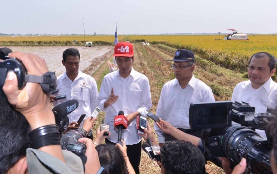 Presiden Jokowi tinjau panen padi varietas IPB 3S di Karawang