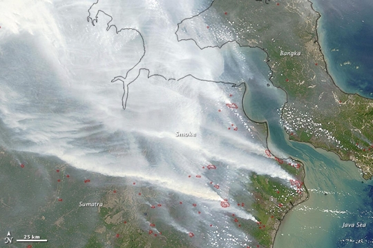 Beginilah kondisi kabut asap Indonesia diambil dari satelit NASA