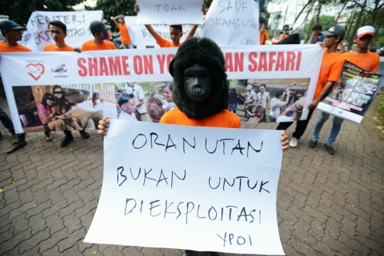 Aksi kecam pertunjukan orang utan Taman Safari Indonesia