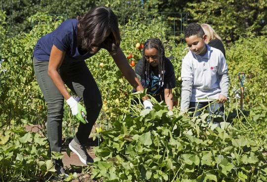 Michelle Obama panen sayuran bareng murid SD