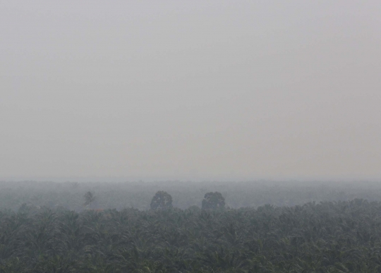 Begini tebalnya kabut asap yang bikin Malaysia minta ganti rugi