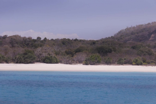 Keindahan Pantai Lingal, surga tersembunyi di pelosok Alor