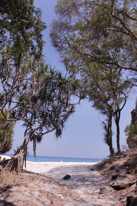 Keindahan Pantai Lingal, surga tersembunyi di pelosok Alor