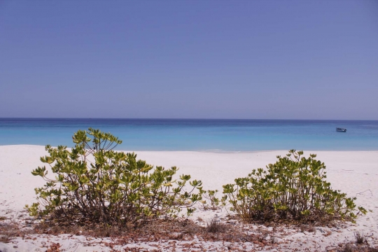 Keindahan Pantai Lingal, surga tersembunyi di pelosok Alor